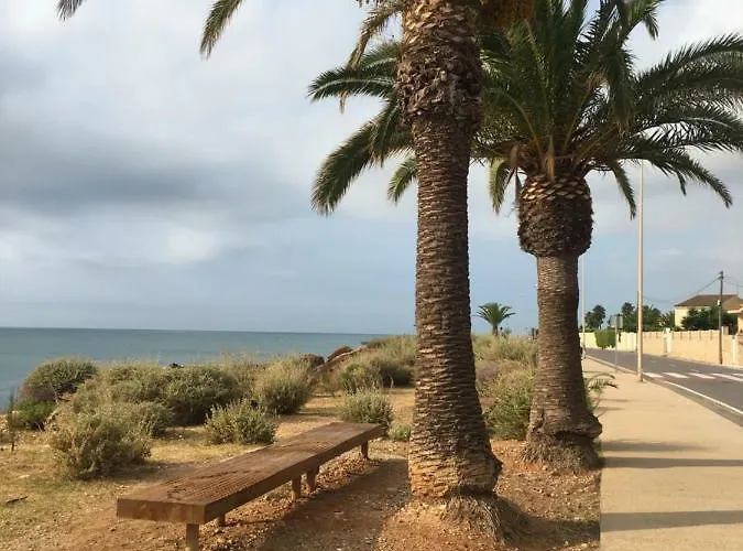 Avinguda De Pau Bejar *